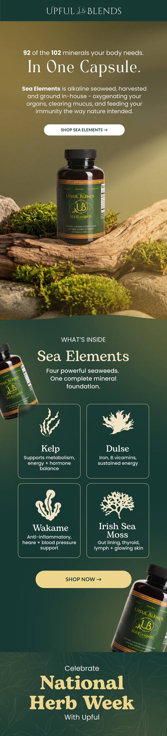 Upful Blends Sea Elements
